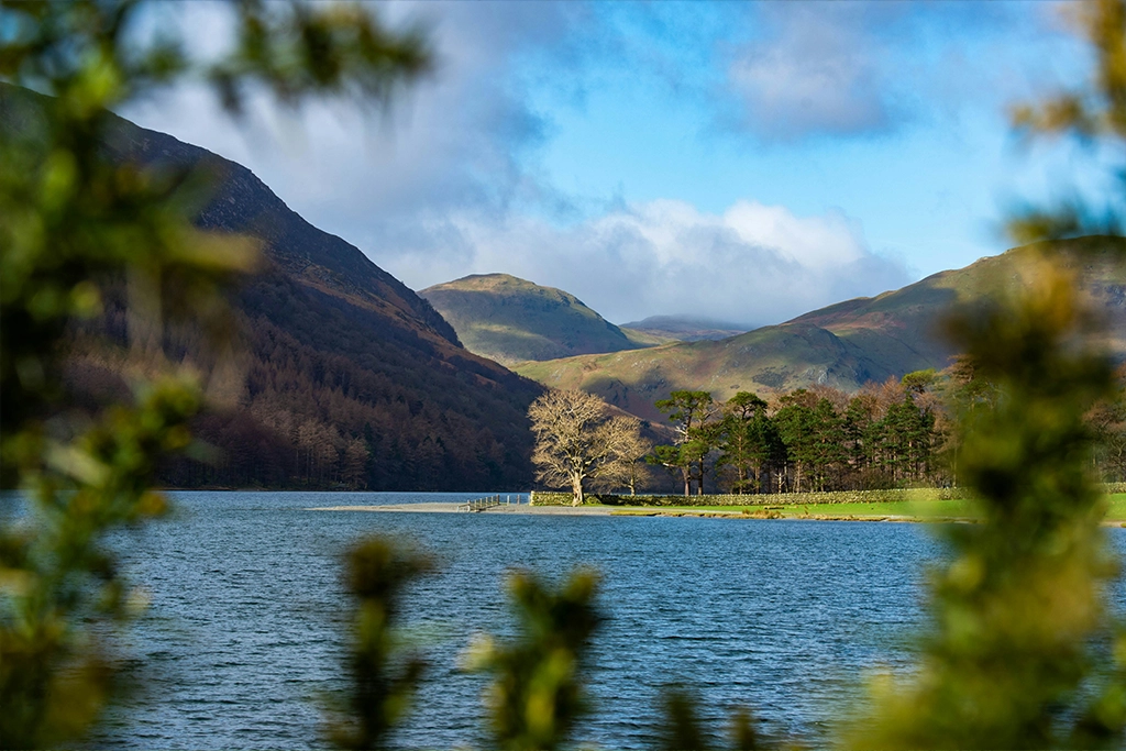 Fernwood-Cottages-Spring-Lake-District-2